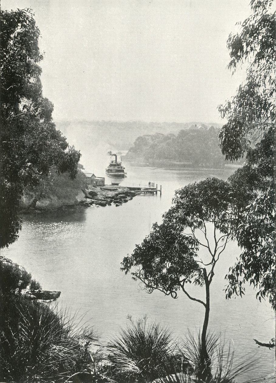 Mosmans Bay, från Cremorne Jetty, c1900. av Unbekannt