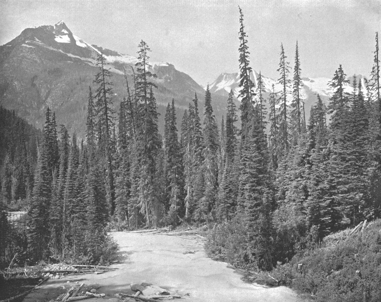 Mounts Cheops and Hermit, Selkirk Range of the Rockies, USA, c1900. av Unbekannt