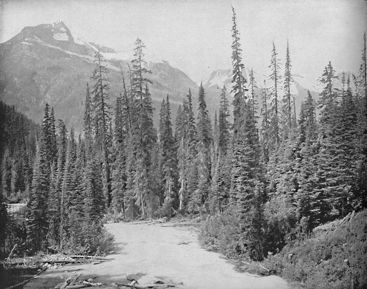 Mounts Cheops and Hermit, Selkirk Range of the Rockies, c1897. av Unbekannt