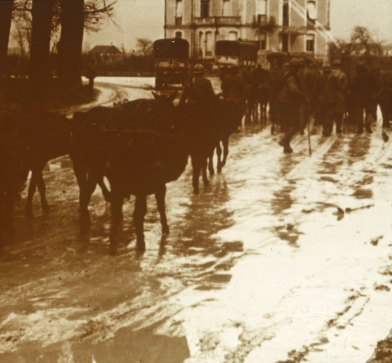 Multåg med förnödenheter, Verdun, norra Frankrike, c1914-c1918 av Unbekannt