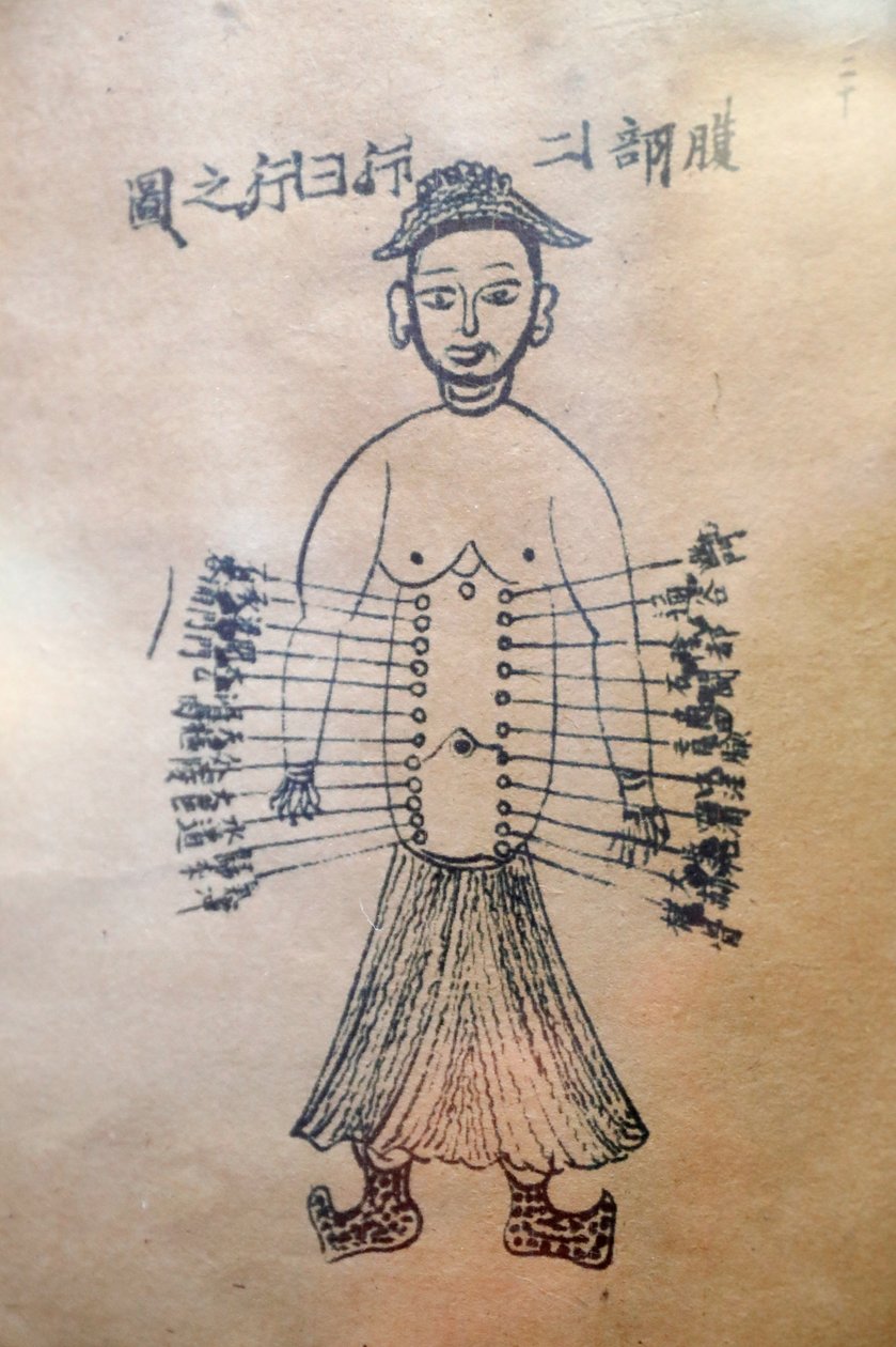 Museum of Traditional Vietnamese Medicine, Kanalerna och kärlen, Akupunkturboken, Ho Chi Minh City, Vietnam av Unbekannt