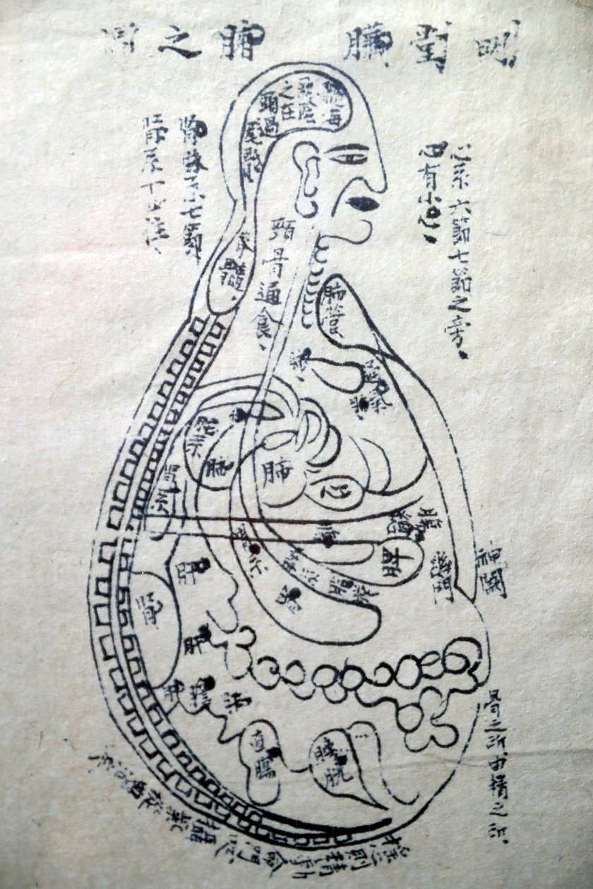 Museum of Traditional Vietnamese Medicine, Kanalerna och kärlen, Akupunkturboken, Ho Chi Minh City, Vietnam av Unbekannt