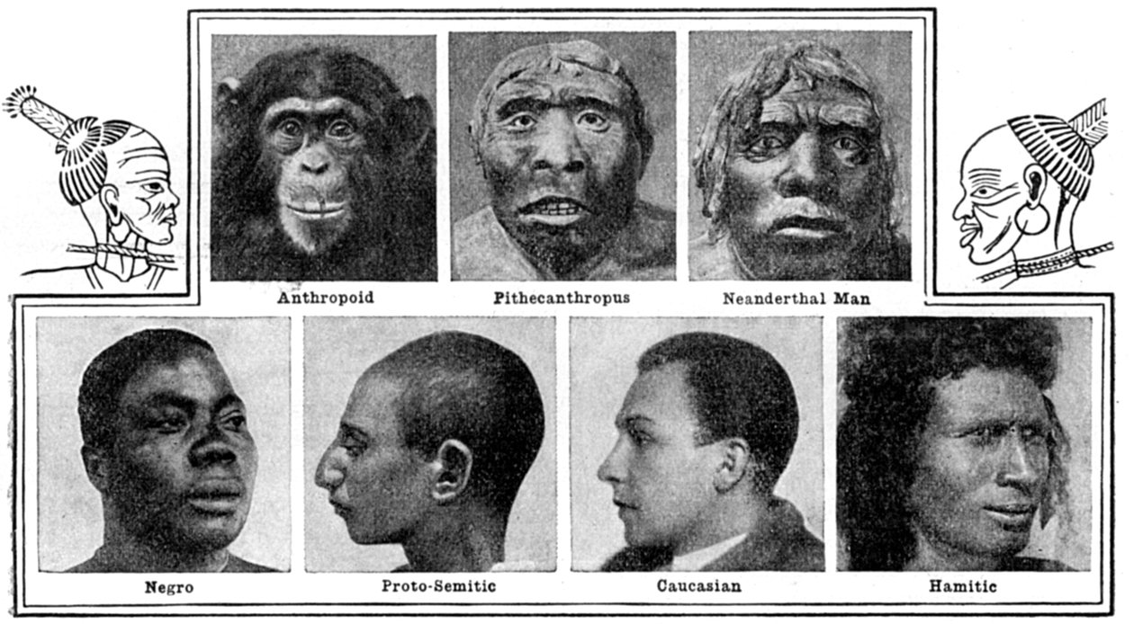 Naturens evolutionära design i näsor, 1922 av Unbekannt
