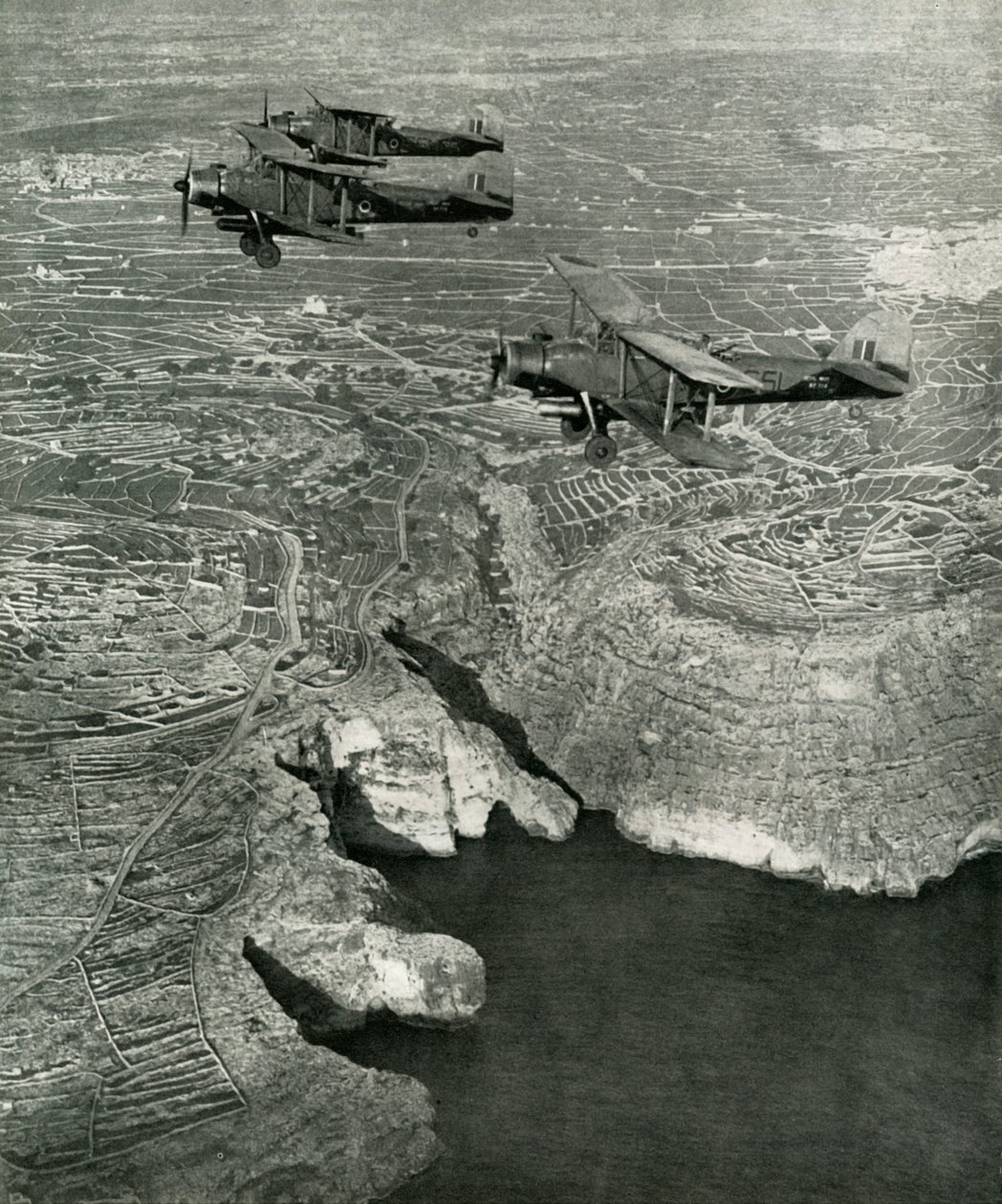 Naval Albacores var en del av strejkstyrkan, c1942-1943, 1945. av Unbekannt