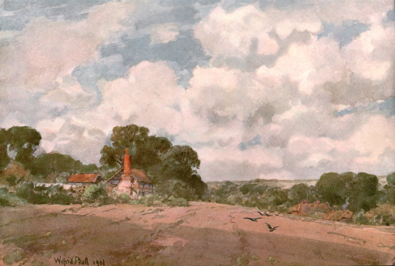 Nära Hogsback, Surrey, 1901. av Unbekannt