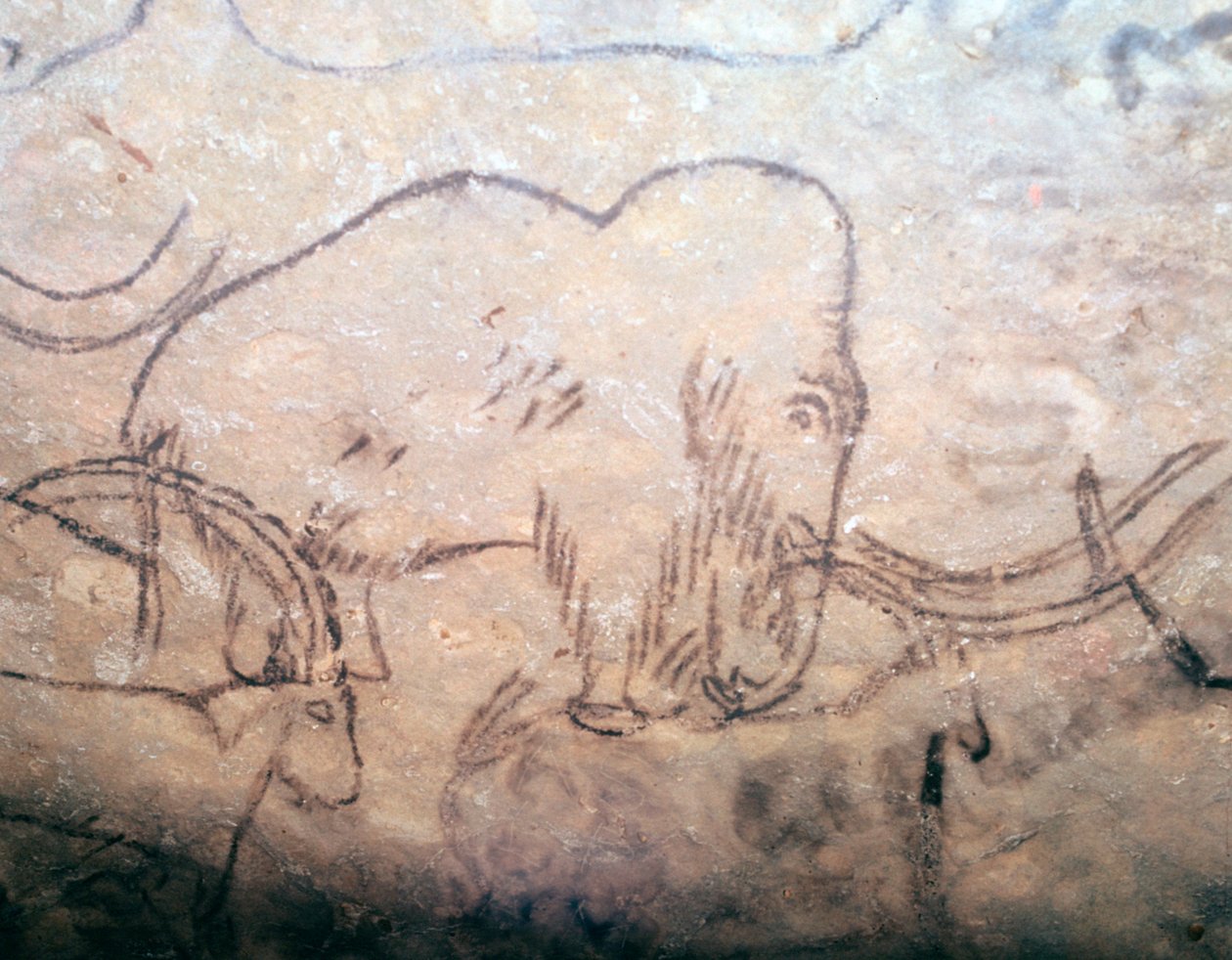Neolitisk grottmålning av mammut och stenbockar av Unbekannt