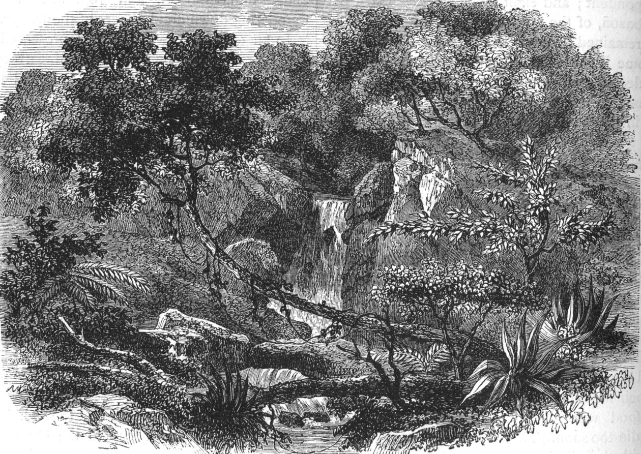 Nya Zeelands landskap, c1880 av Unbekannt
