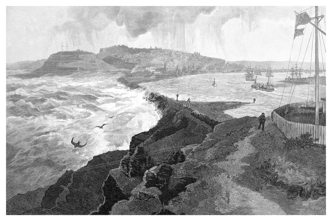 Newcastle, från Nobbys Head, New South Wales, Australien, 1886 av Unbekannt