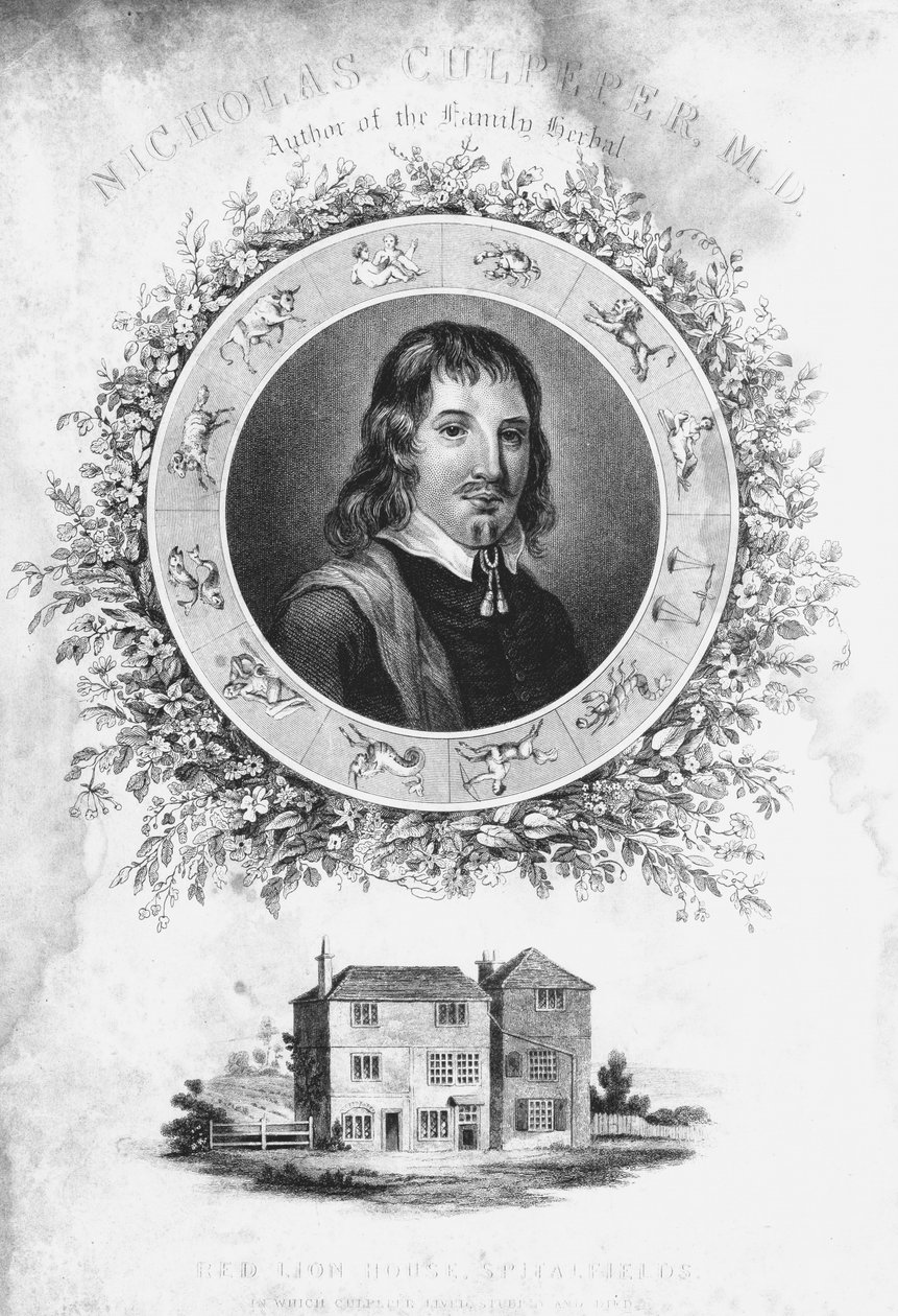 Nicholas Culpepper, ca 1650 1800-talet av Unbekannt