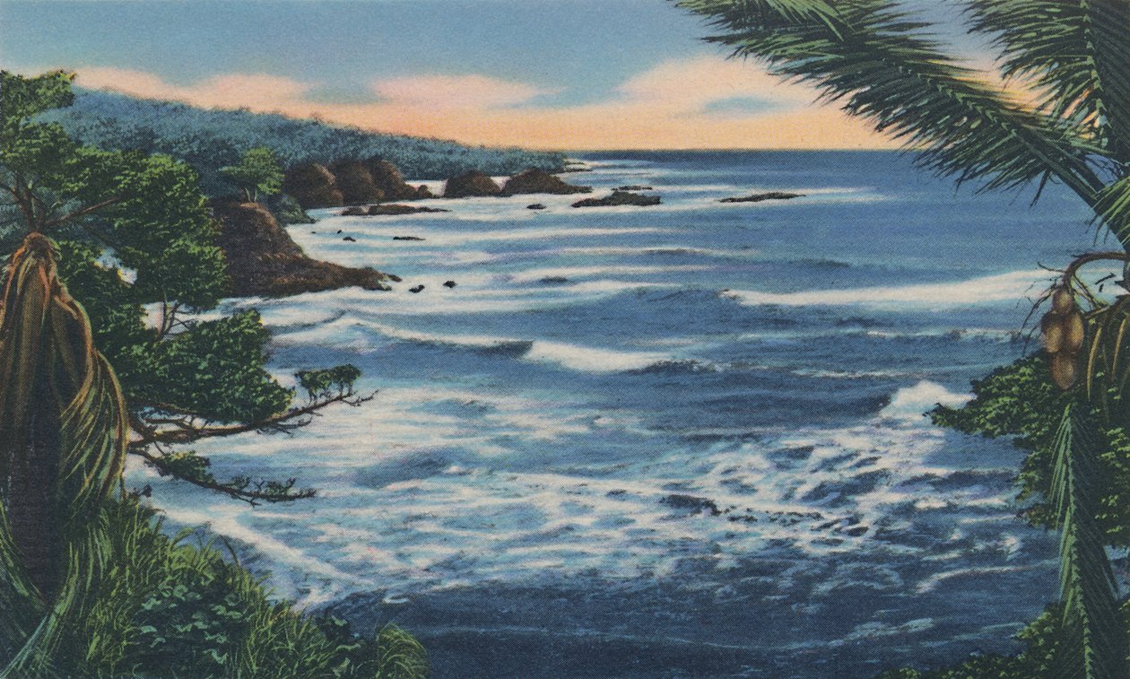 North Coast, Trinidad, B.W.I., c1940s.  av Unbekannt