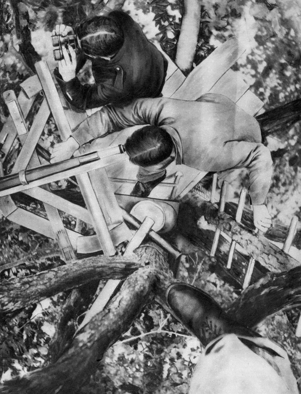 Observationspost i ett träd, Woevre, Frankrike, första världskriget, c1914 av Unbekannt
