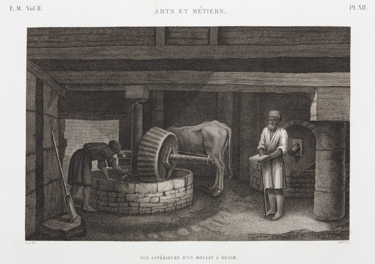 Oljor, fetter och vaxer Oljebruk, Egypten, ca 1798 av Unbekannt