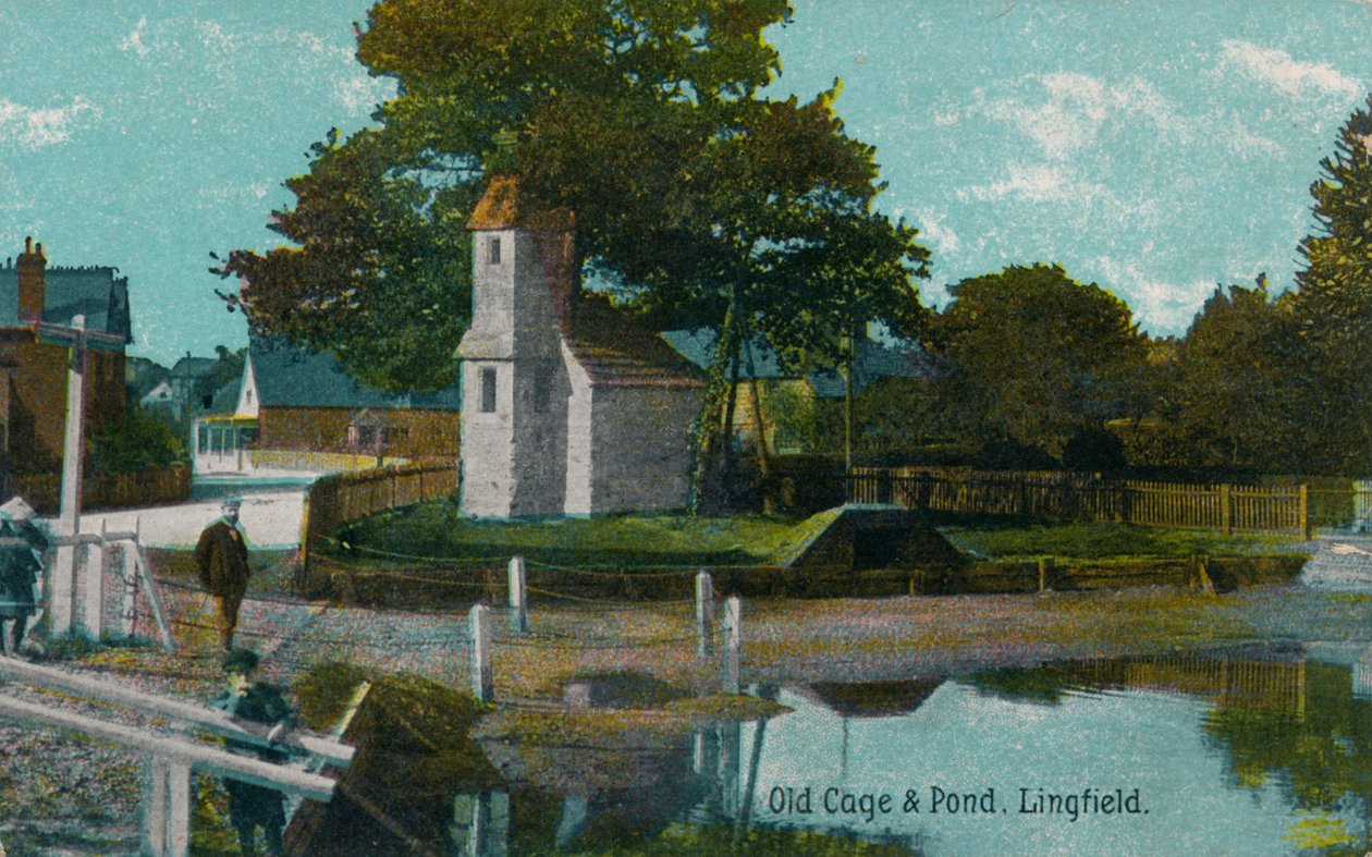 Gammal bur och damm, Lingfield, Surrey, c1905 av Unbekannt