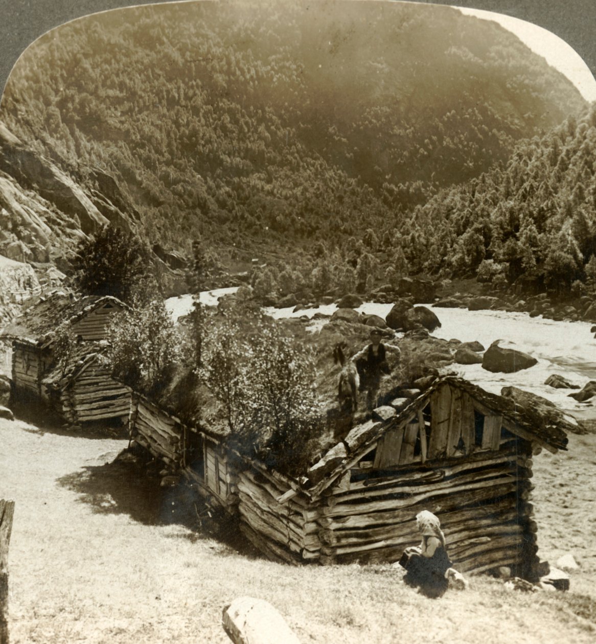 Gamla timmerhus i Bratslandsdal, med träd som växer på torvtäckta tak, Norge, c1905. av Unbekannt
