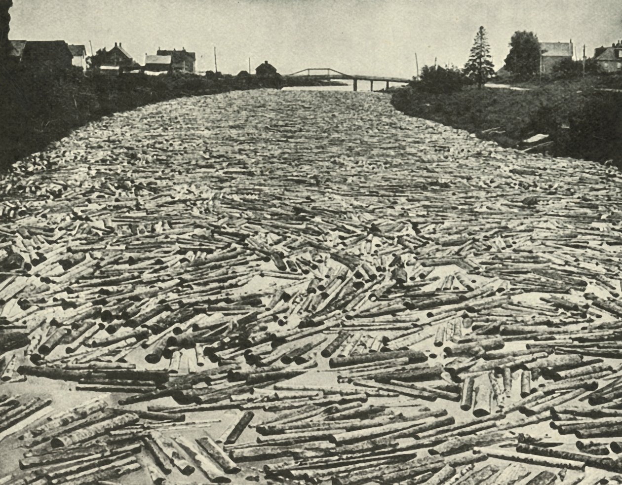 På väg till sågverken, c1948. av Unbekannt