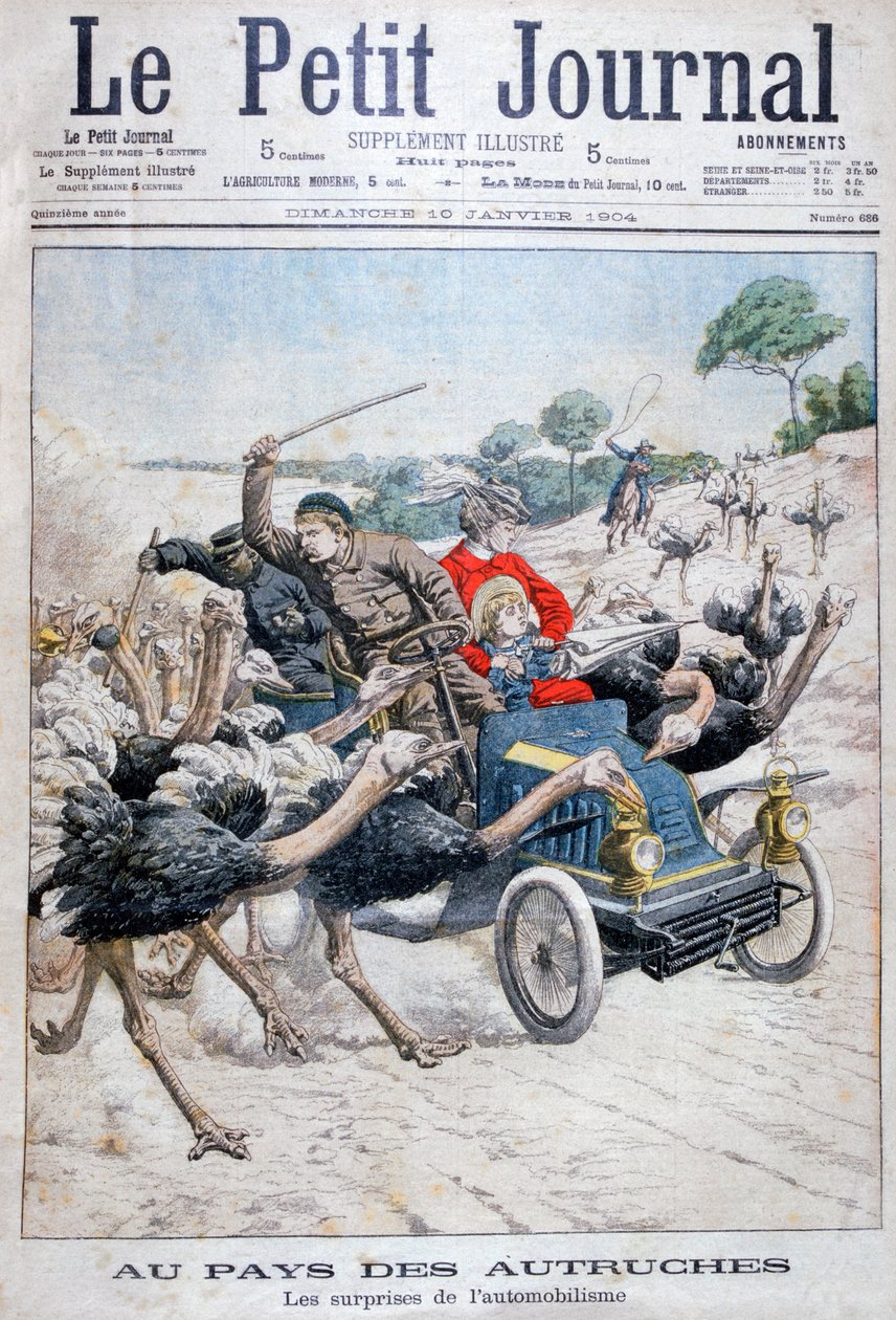 Strutsar attackerar en bil, Kalifornien, USA, 1904 av Unbekannt