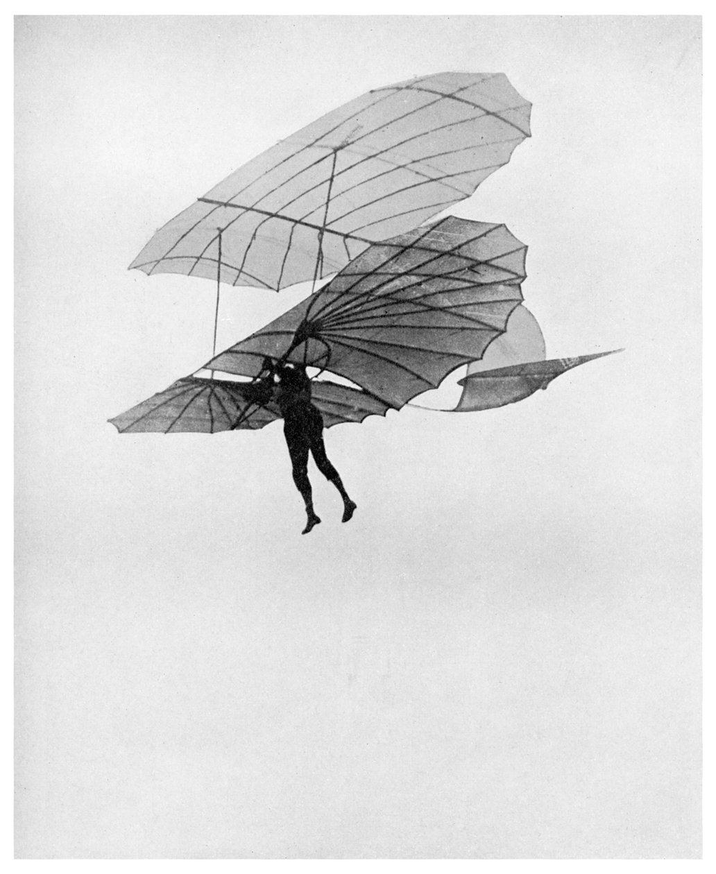 Otto Lilienthal gör en av sina sista flygningar, 1896 1956 av Unbekannt