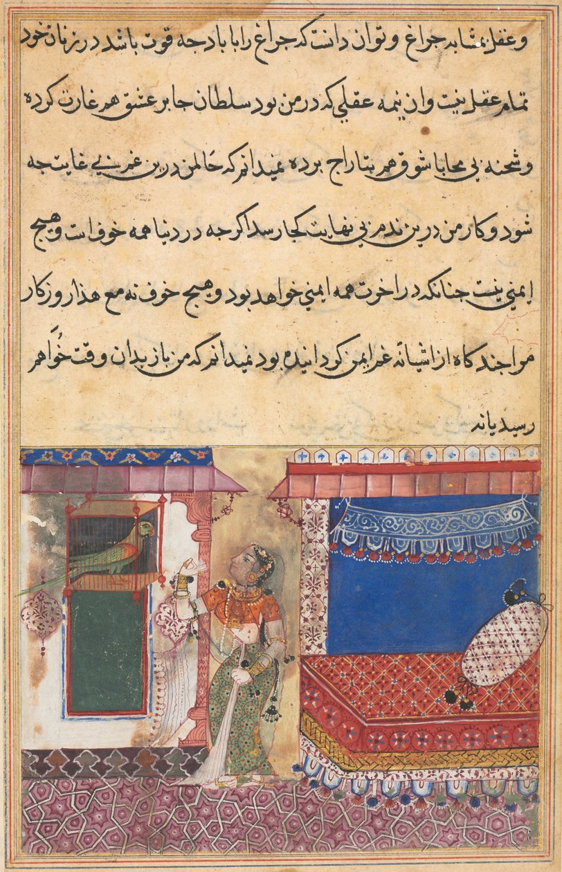Sida från Tales of a Papegoja Tuti-nama: Artonde natten: Papegojan tilltalar..., ca. 1560. av Unbekannt