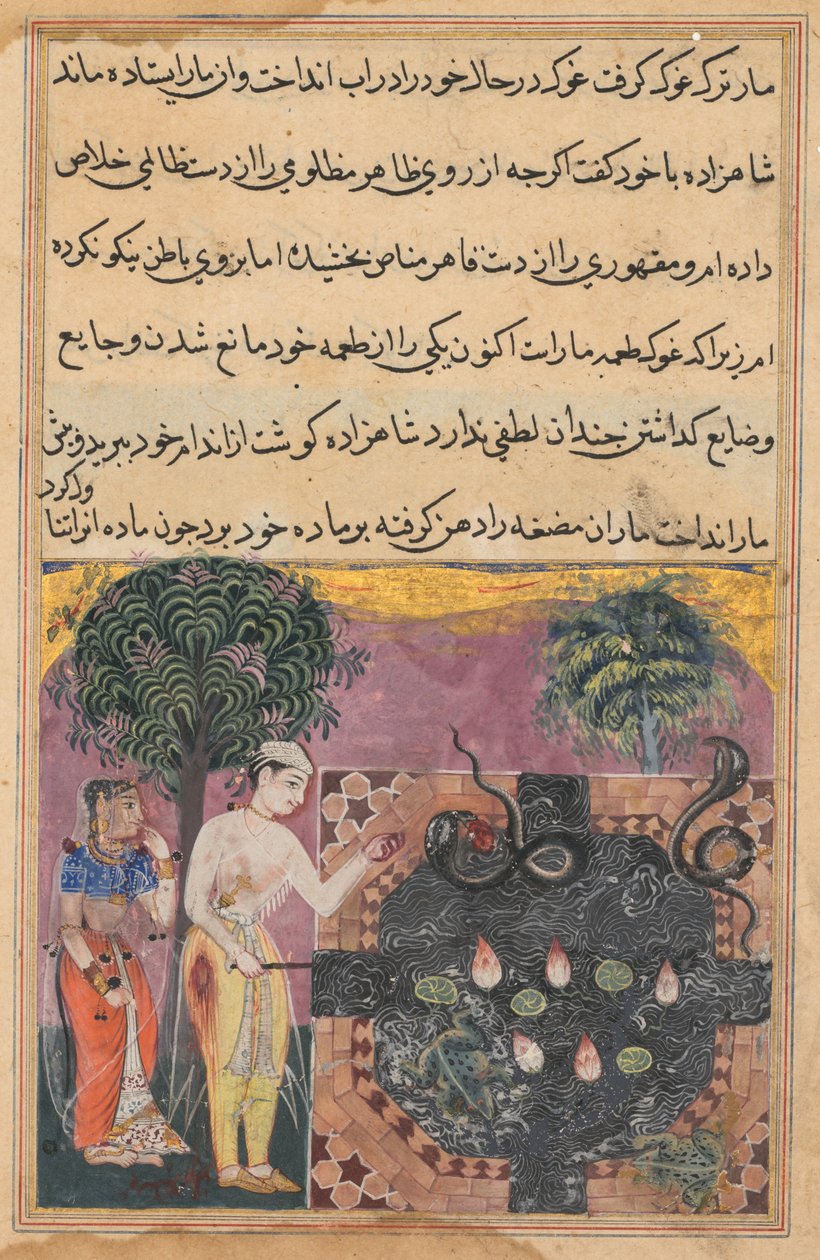 Sida från Tales of a Papegoja Tuti-nama: Artonde natten: Prinsen, ca. 1560. av Unbekannt