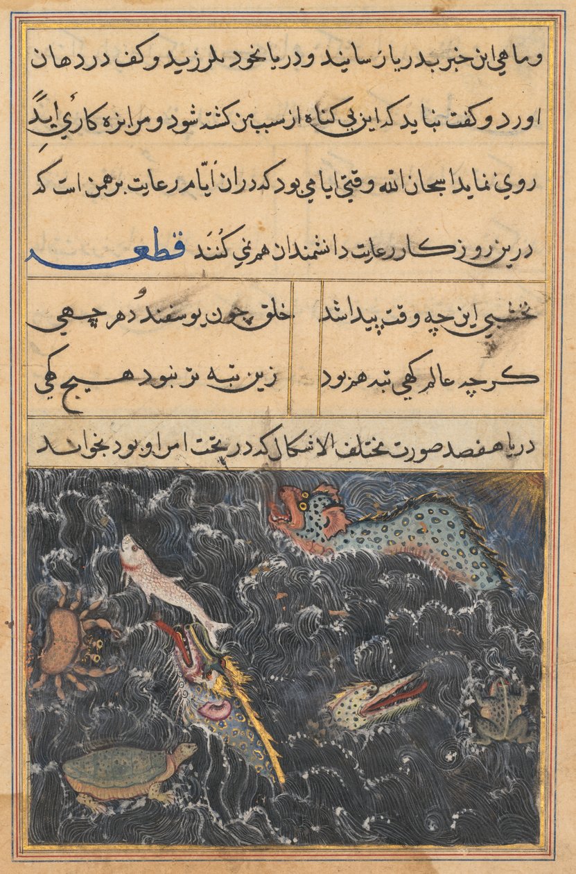 Sida från Tales of a Parrot Tuti-nama: Elfte natten: Havets varelser, ca. 1560. av Unbekannt