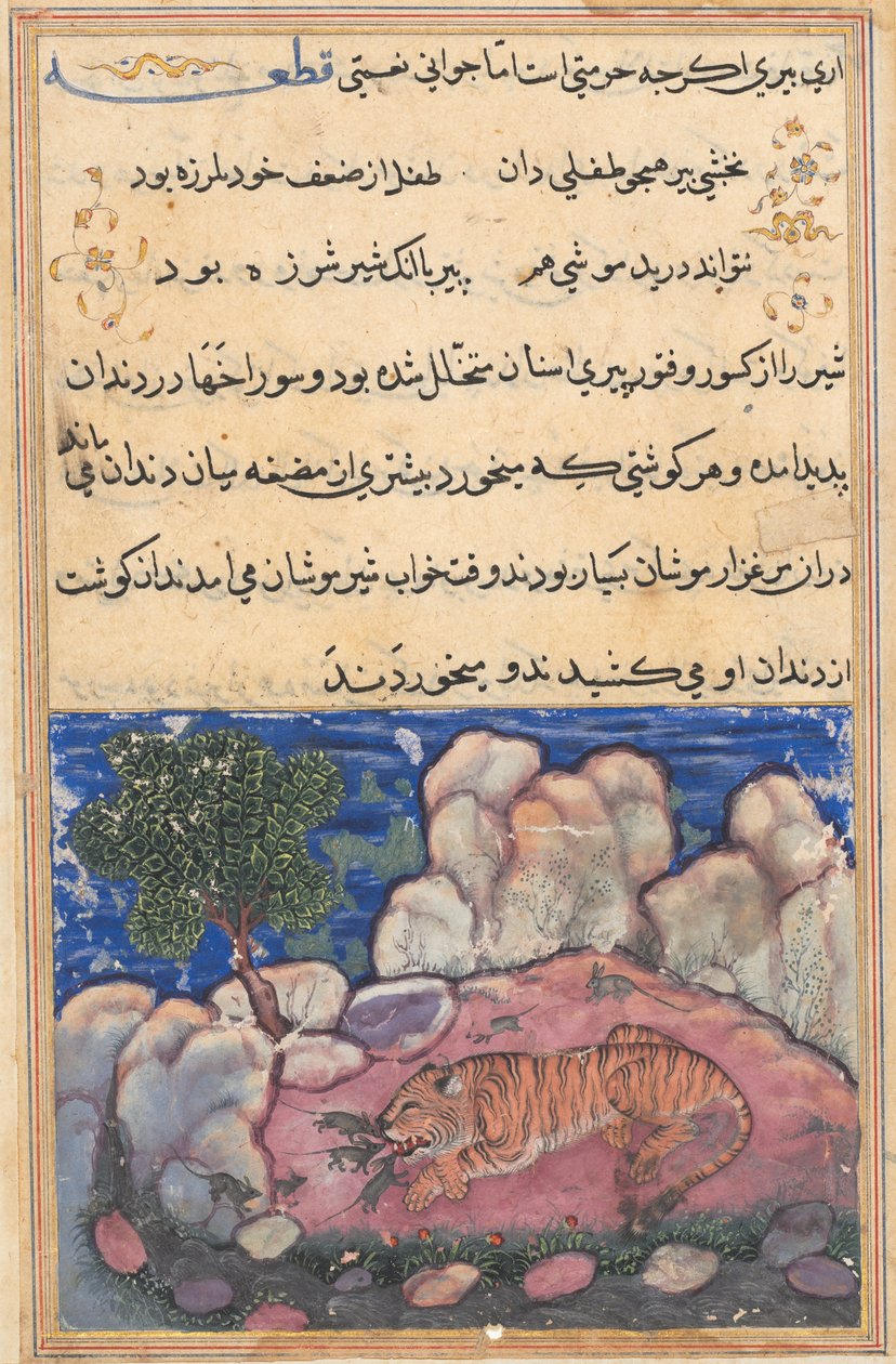 Sida från Tales of a Papegoja Tuti-nama: Femtonde natten: Lejonet stört av möss..., 1558-1560. av Unbekannt