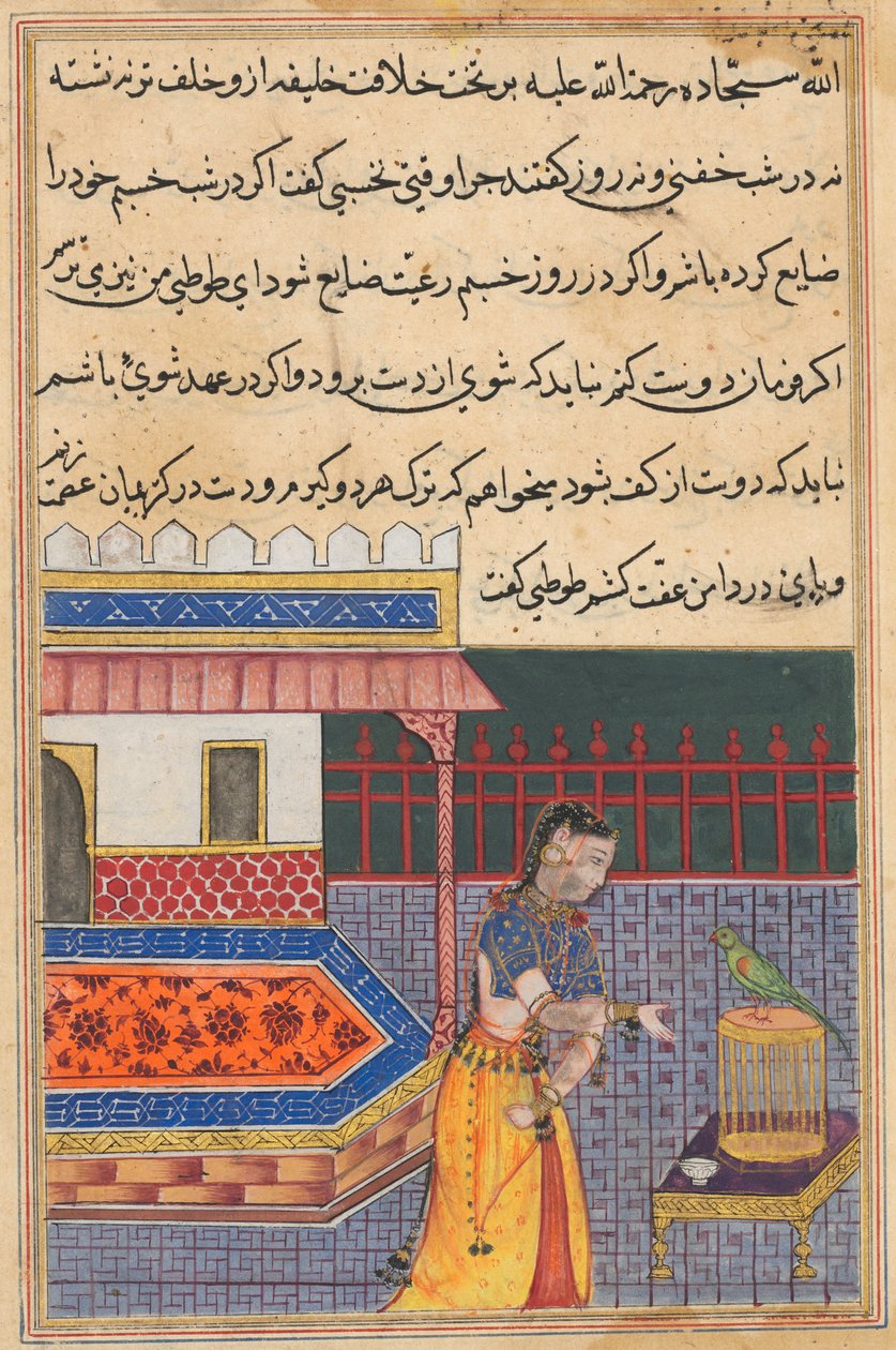Sida från Tales of a Parrot Tuti-nama: Fyrtioförsta natten: Papegojan tilltalar Khujasta..., ca. 156 av Unbekannt