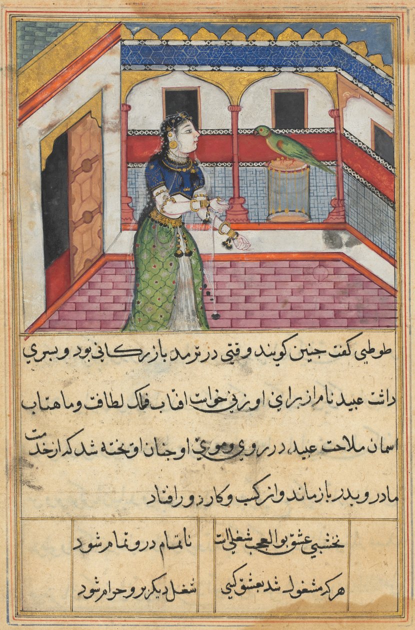 Sida från Tales of a Papegoja Tuti-nama: Fyrtioandra natt: Papegojan tilltalar..., ca. 1560. av Unbekannt