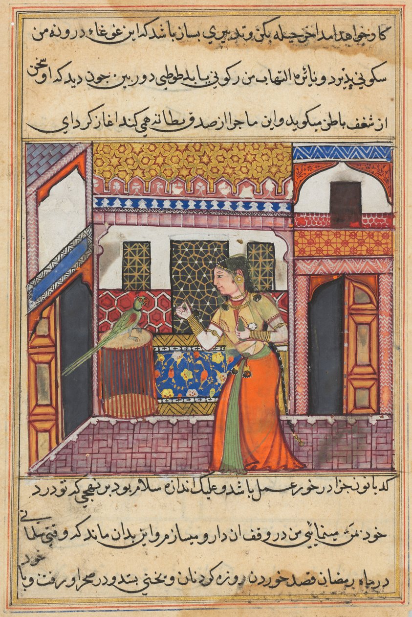 Sida från Tales of a Parrot Tuti-nama: Fyrtiotredje natt: Papegojan tilltalar Khujasta, ca. 1560. av Unbekannt