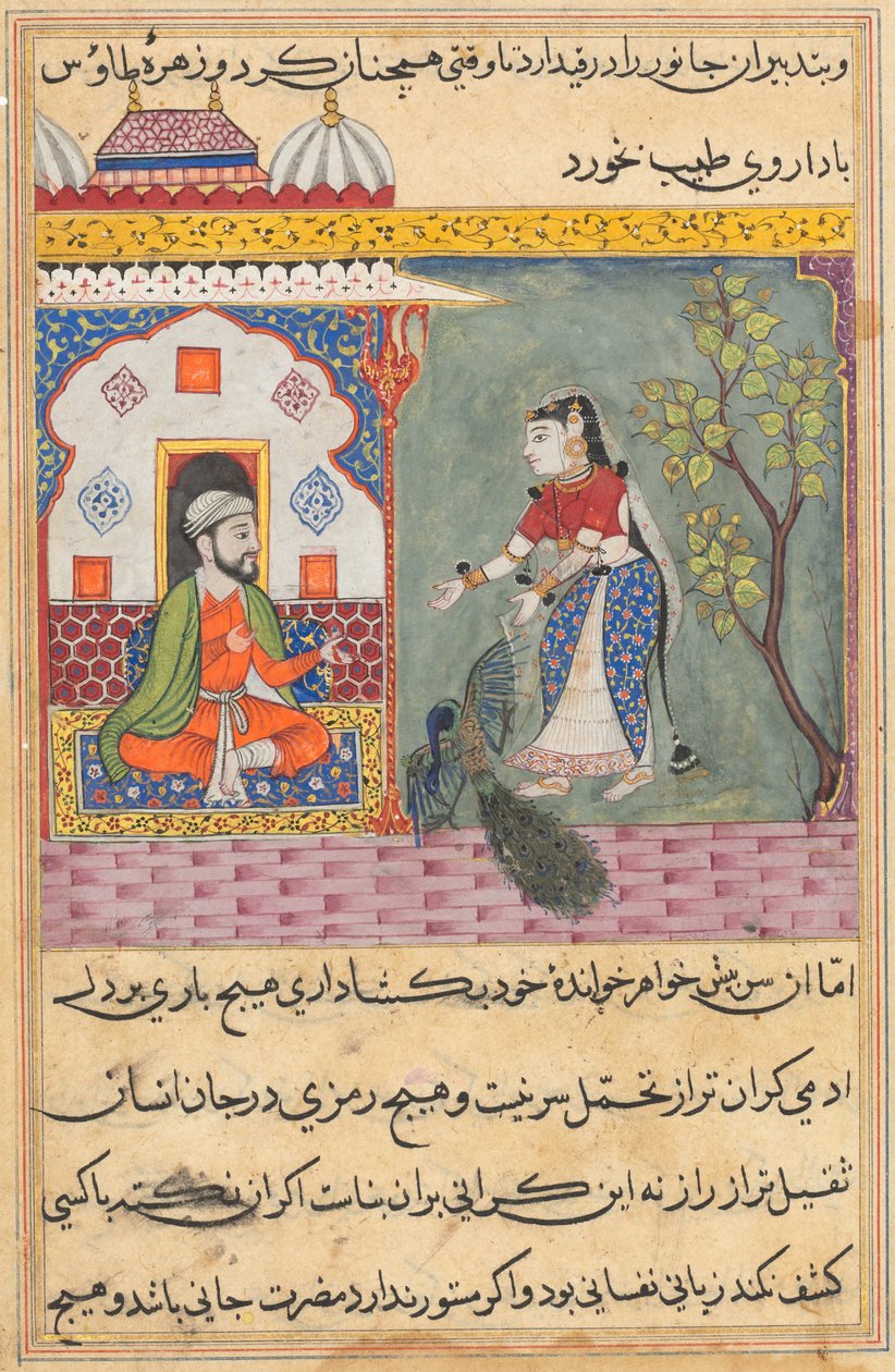 Sida från Tales of a Papegoja Tuti-nama: Nittonde natten: Brahmans fru..., ca. 1560. av Unbekannt
