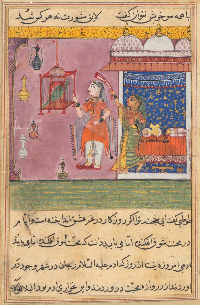 Sida från Tales of a Papegoja Tuti-nama: Nittonde natten: Papegojan tilltalar..., ca. 1560. av Unbekannt