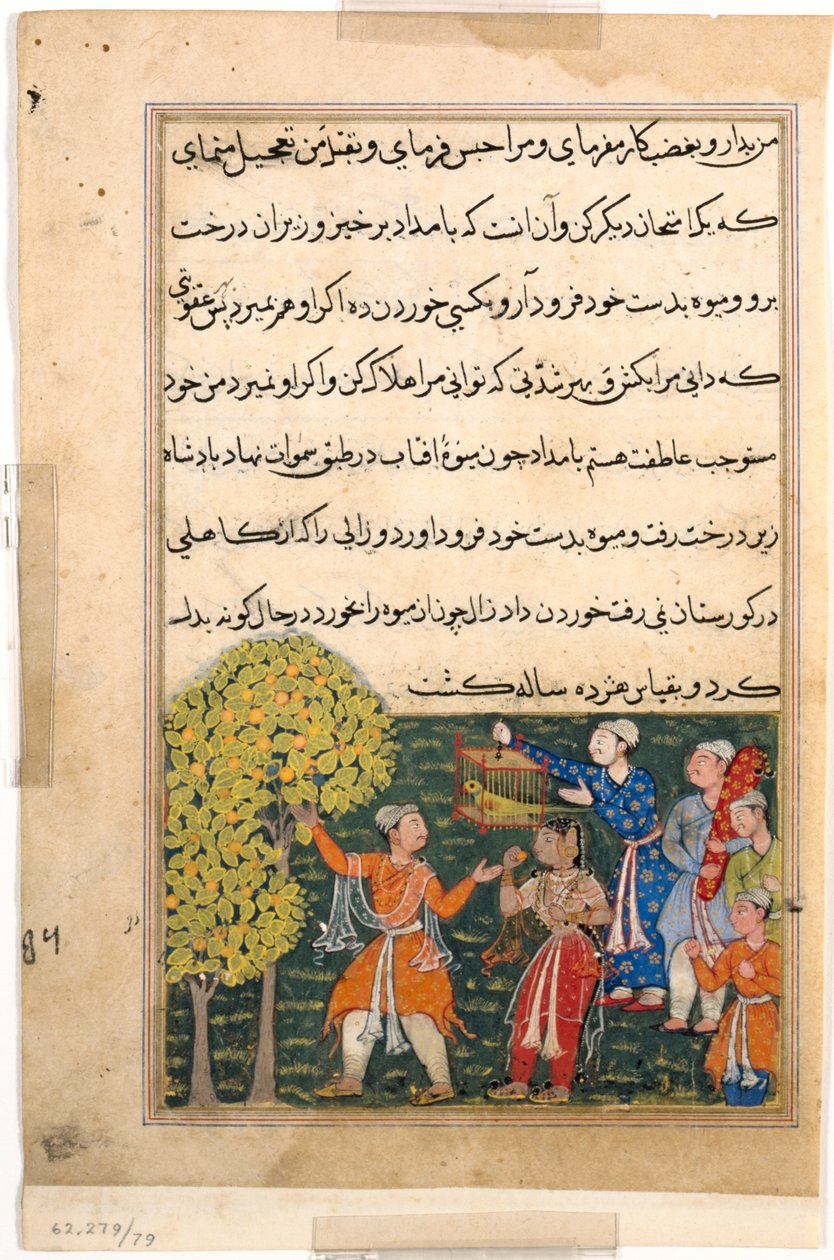 Sida från Tales of a Parrot Tuti-nama: Nionde natten: Kungen plockar frukt från trädet..., ca. 156 av Unbekannt