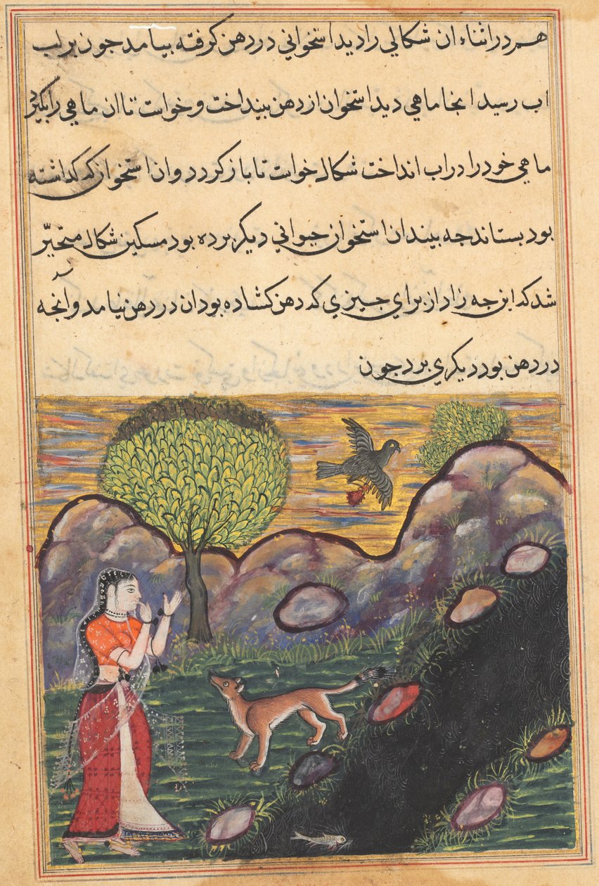Sida från Tales of a Parrot Tuti-nama: Sextonde natten: Svärdottern..., ca. 1560. av Unbekannt