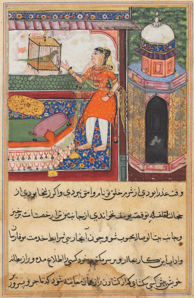 Sida från Tales of a Parrot Tuti-nama: Tionde natten: Papegojan tilltalar Khujasta..., ca. 1560. av Unbekannt