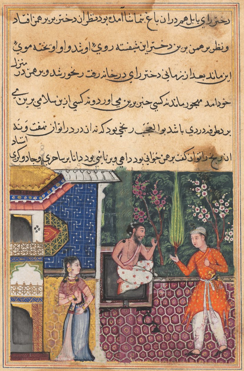 Sida från Tales of a Papegoja Tuti-nama: Trettiofemte natten: Brahmanen ger..., ca. 1560. av Unbekannt