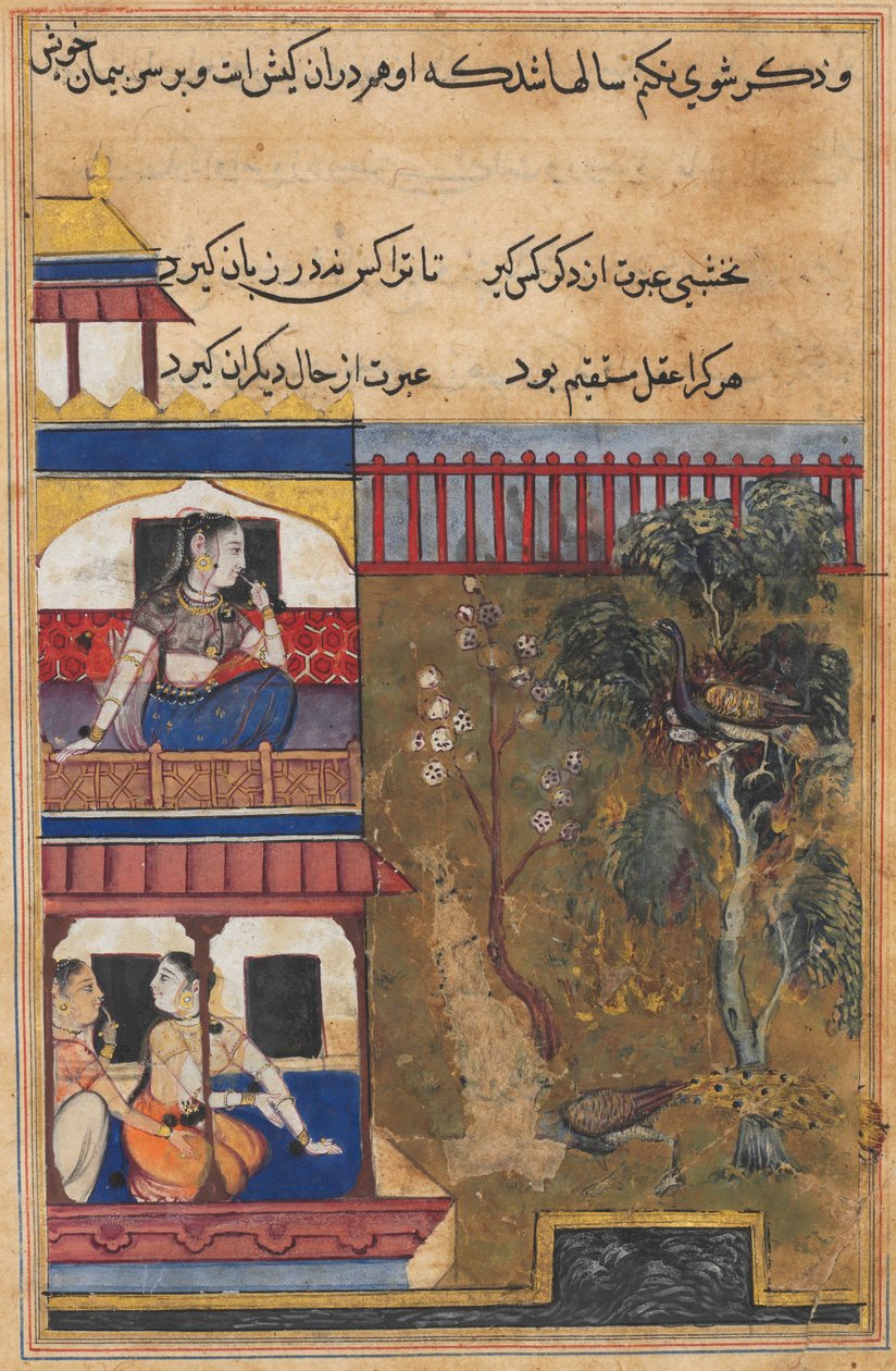 Sida från Tales of a Parrot Tuti-nama: Trettionionde natten: Drottningen av Rum..., ca. 1560. av Unbekannt