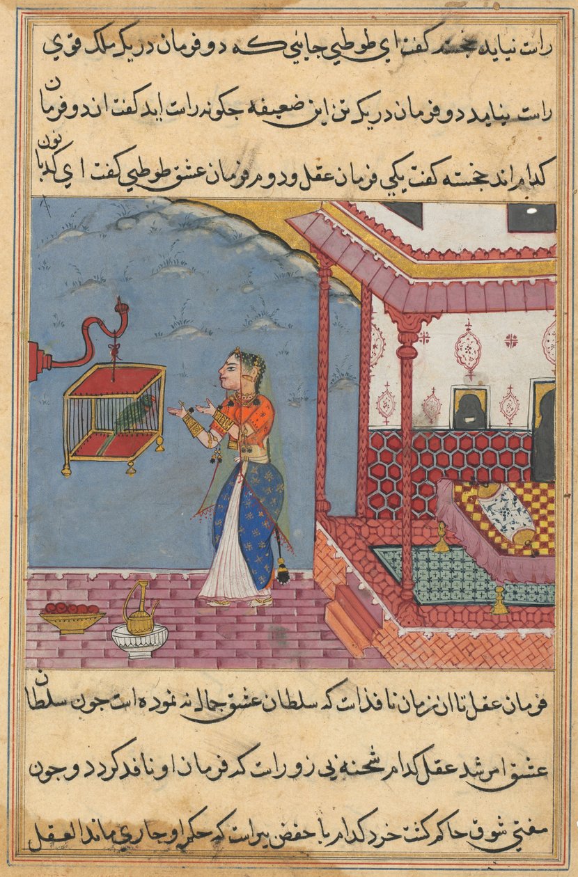 Sida från Tales of a Parrot Tuti-nama: Tjugofjärde natten: Papegojan..., ca. 1560. av Unbekannt
