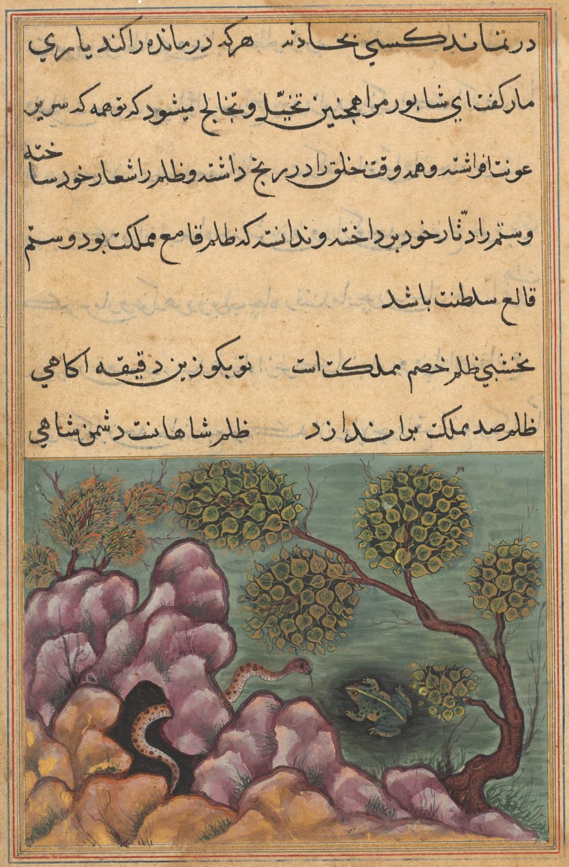Sida från Tales of a Parrot Tuti-nama: Tjugosjätte natten: Den detroniserade grodan..., ca. 1560. av Unbekannt