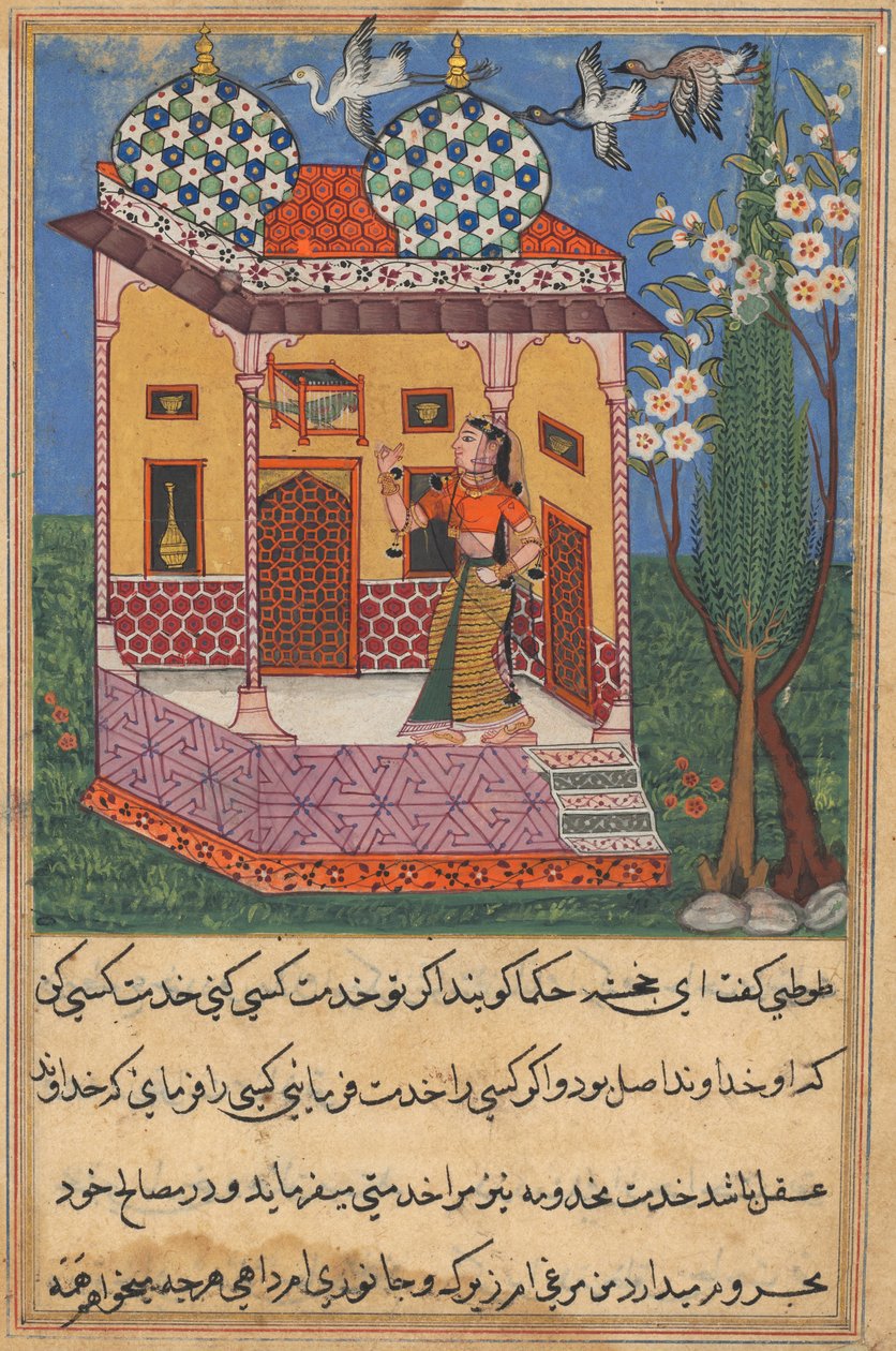 Sida från Tales of a Parrot Tuti-nama: Tjugosjätte natten: Papegojan tilltalar Khujasta..., c1560 av Unbekannt