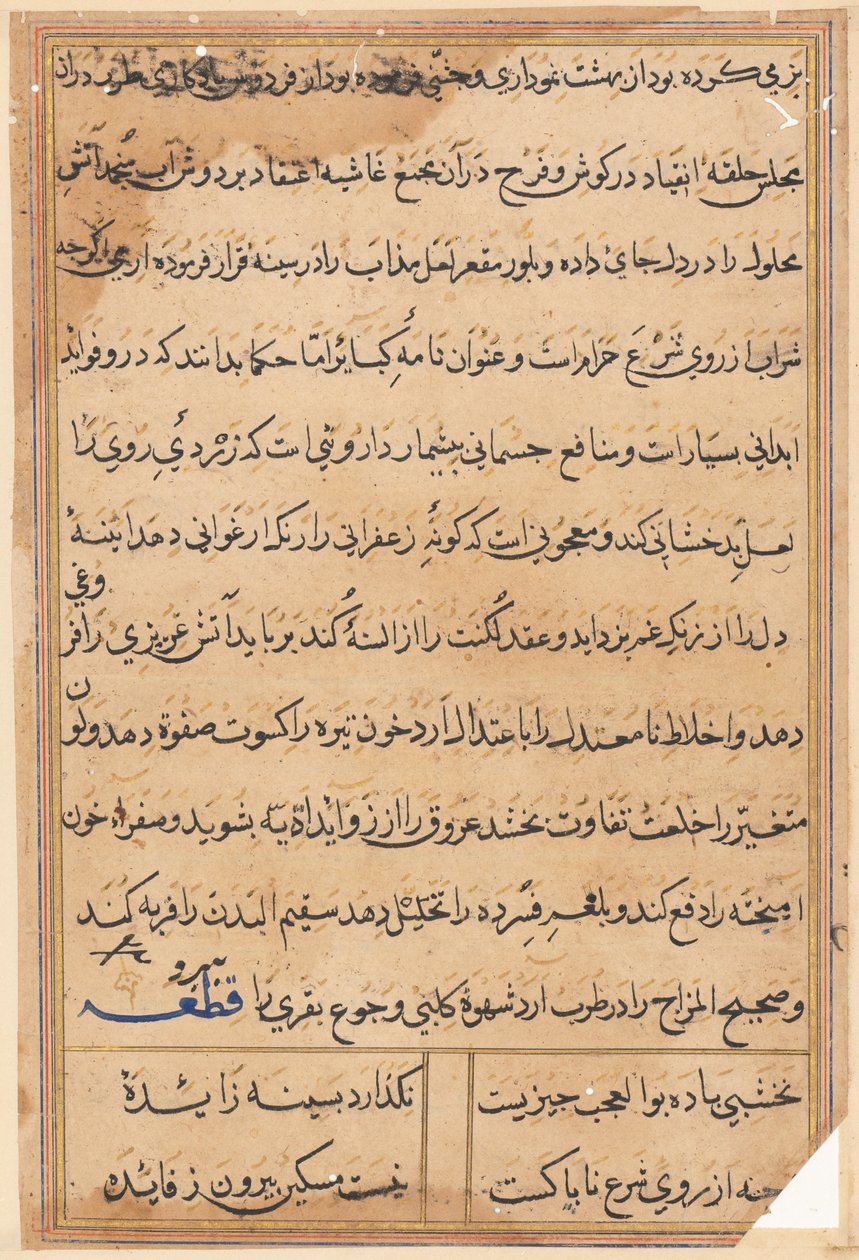 Sida från Tales of a Parrot Tuti-nama: textsida, ca. 1560. av Unbekannt