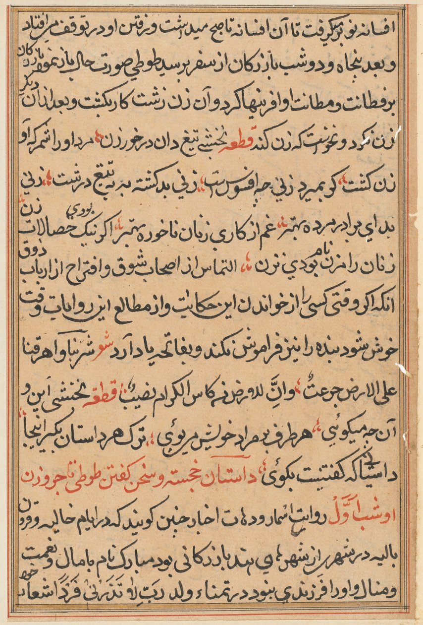 Sida från Tales of a Parrot Tuti-nama: textsida, ca. 1560. av Unbekannt