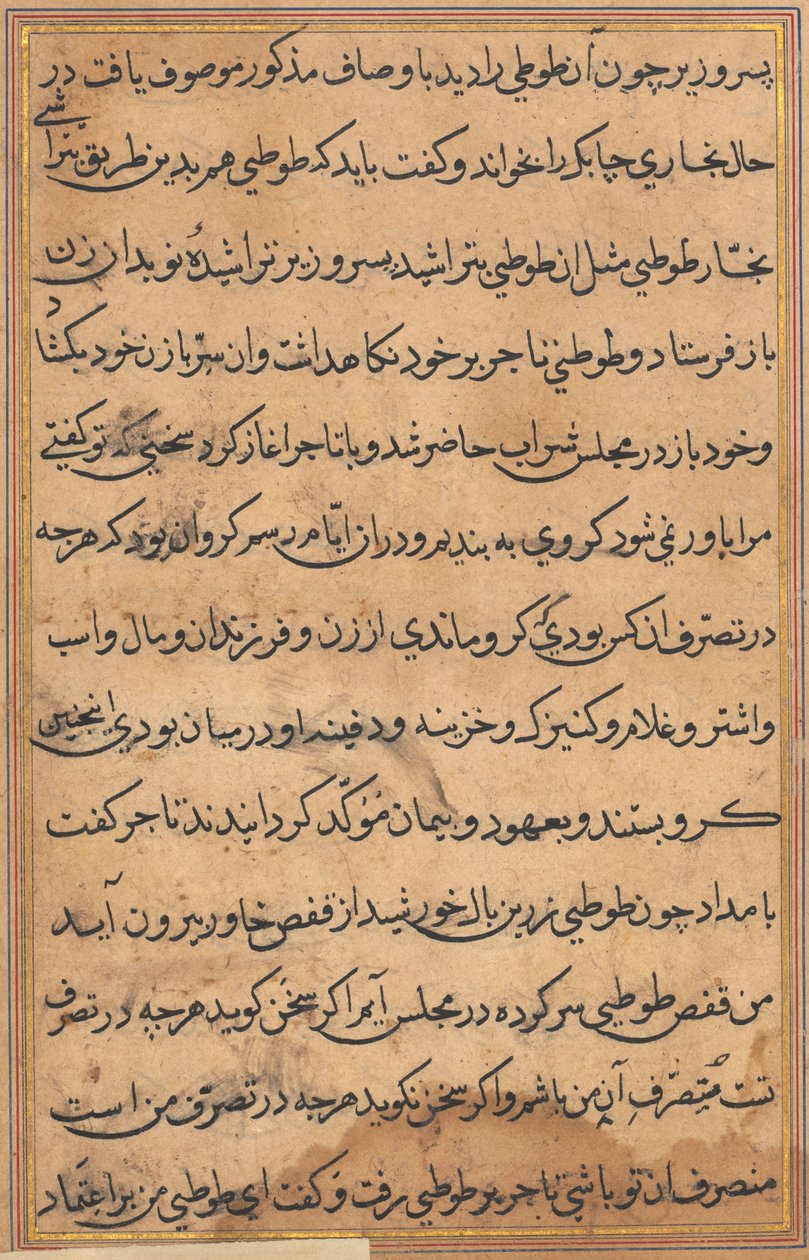 Sida från Tales of a Parrot Tuti-nama: textsida, ca. 1560. av Unbekannt