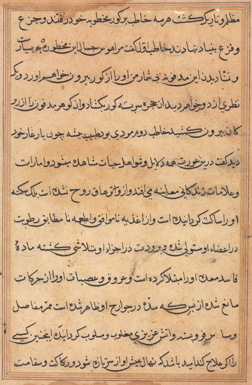 Sida från Tales of a Parrot Tuti-nama: textsida, ca. 1560. av Unbekannt