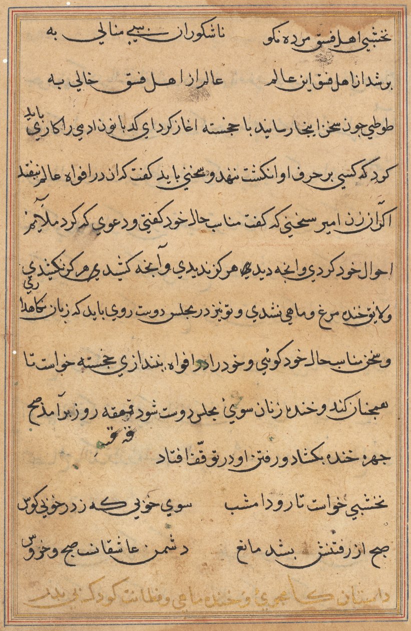Sida från Tales of a Parrot Tuti-nama: textsida, ca. 1560. av Unbekannt