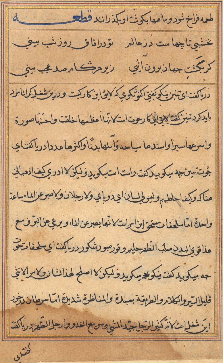 Sida från Tales of a Parrot Tuti-nama: textsida, ca. 1560. av Unbekannt