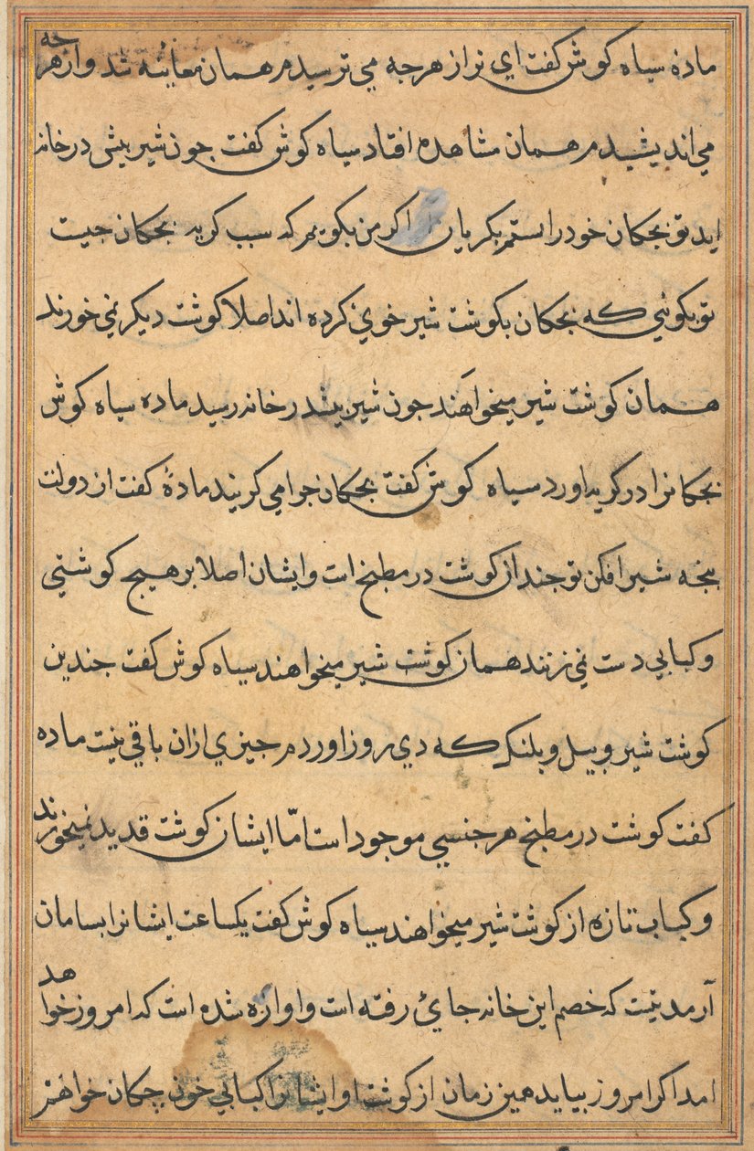 Sida från Tales of a Parrot Tuti-nama: textsida, ca. 1560. av Unbekannt