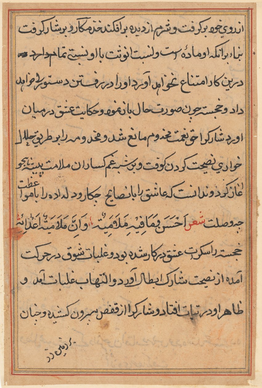 Sida från Tales of a Parrot Tuti-nama: textsida, ca. 1560. av Unbekannt