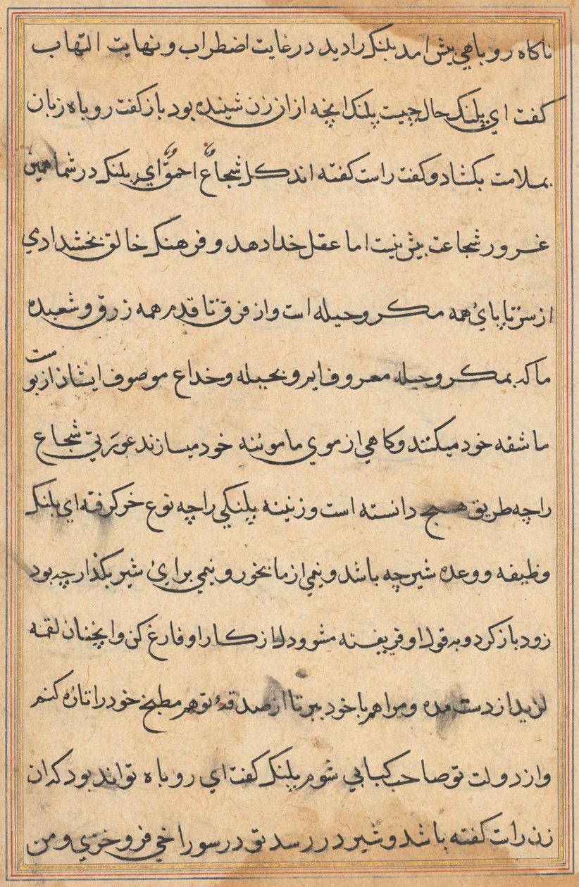 Sida från Tales of a Parrot Tuti-nama: textsida, ca. 1560. av Unbekannt