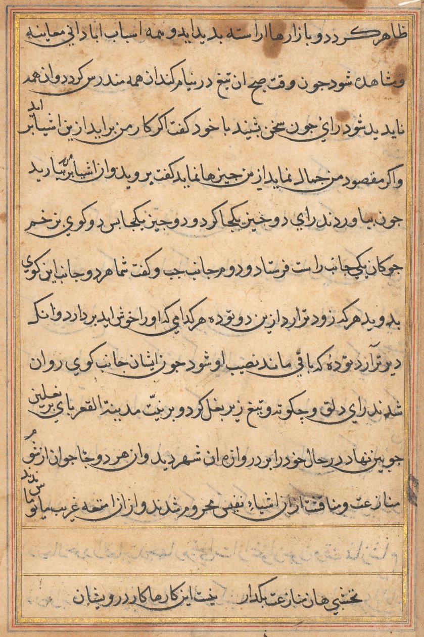 Sida från Tales of a Parrot Tuti-nama: textsida, ca. 1560. av Unbekannt