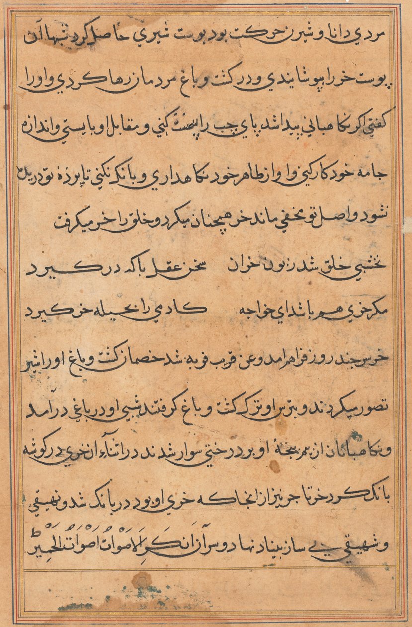 Sida från Tales of a Parrot Tuti-nama: textsida, ca. 1560. av Unbekannt