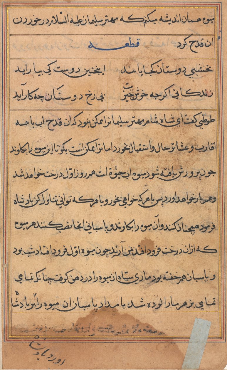 Sida från Tales of a Parrot Tuti-nama: textsida, ca. 1560. av Unbekannt